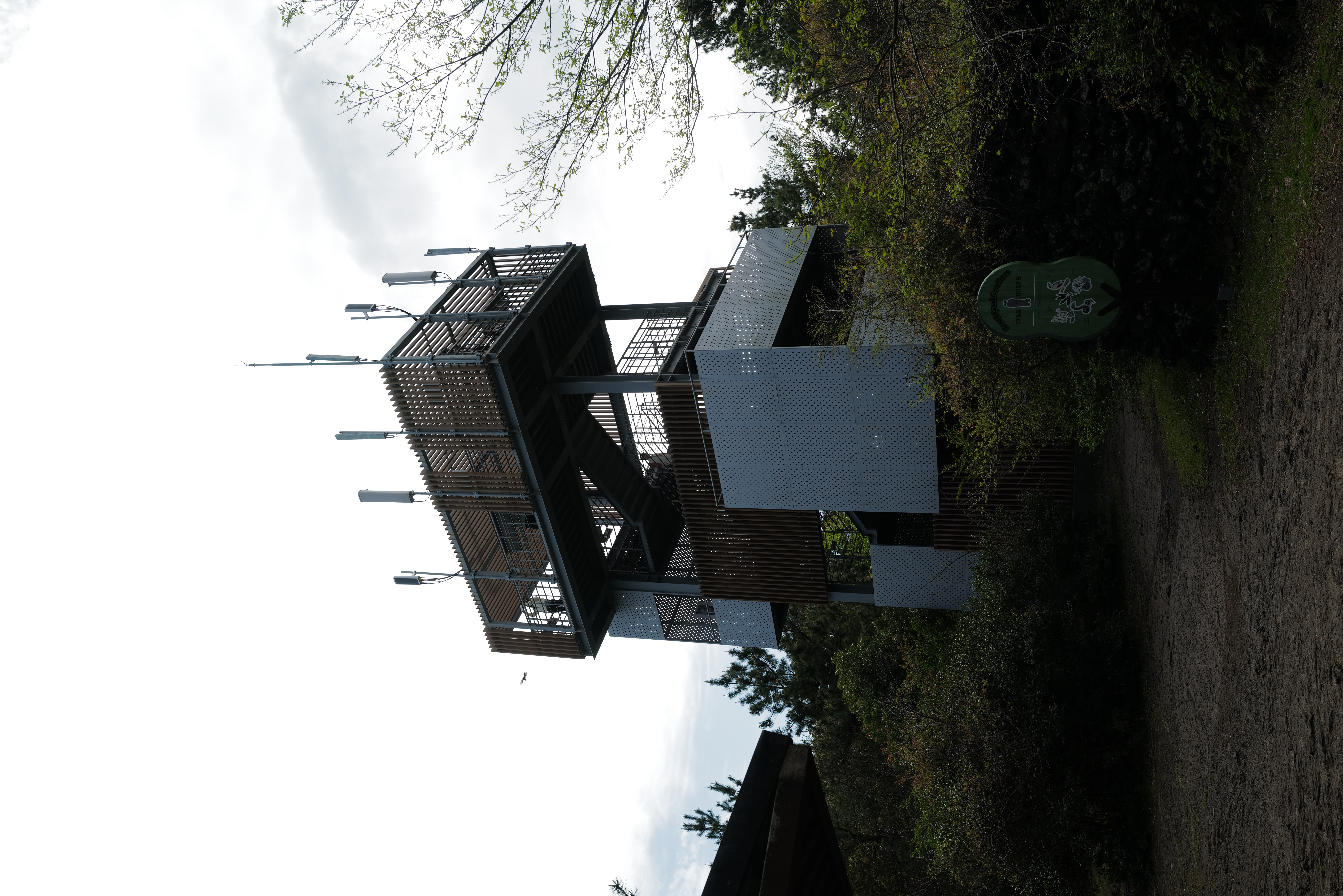 DO01090369.JPG