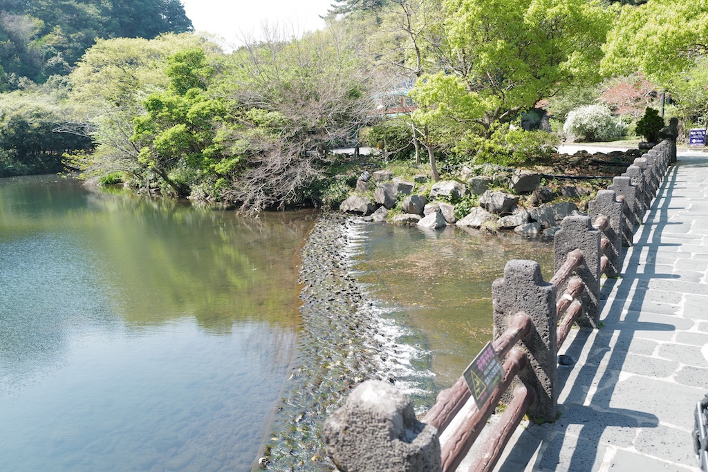 DO01090693.JPG