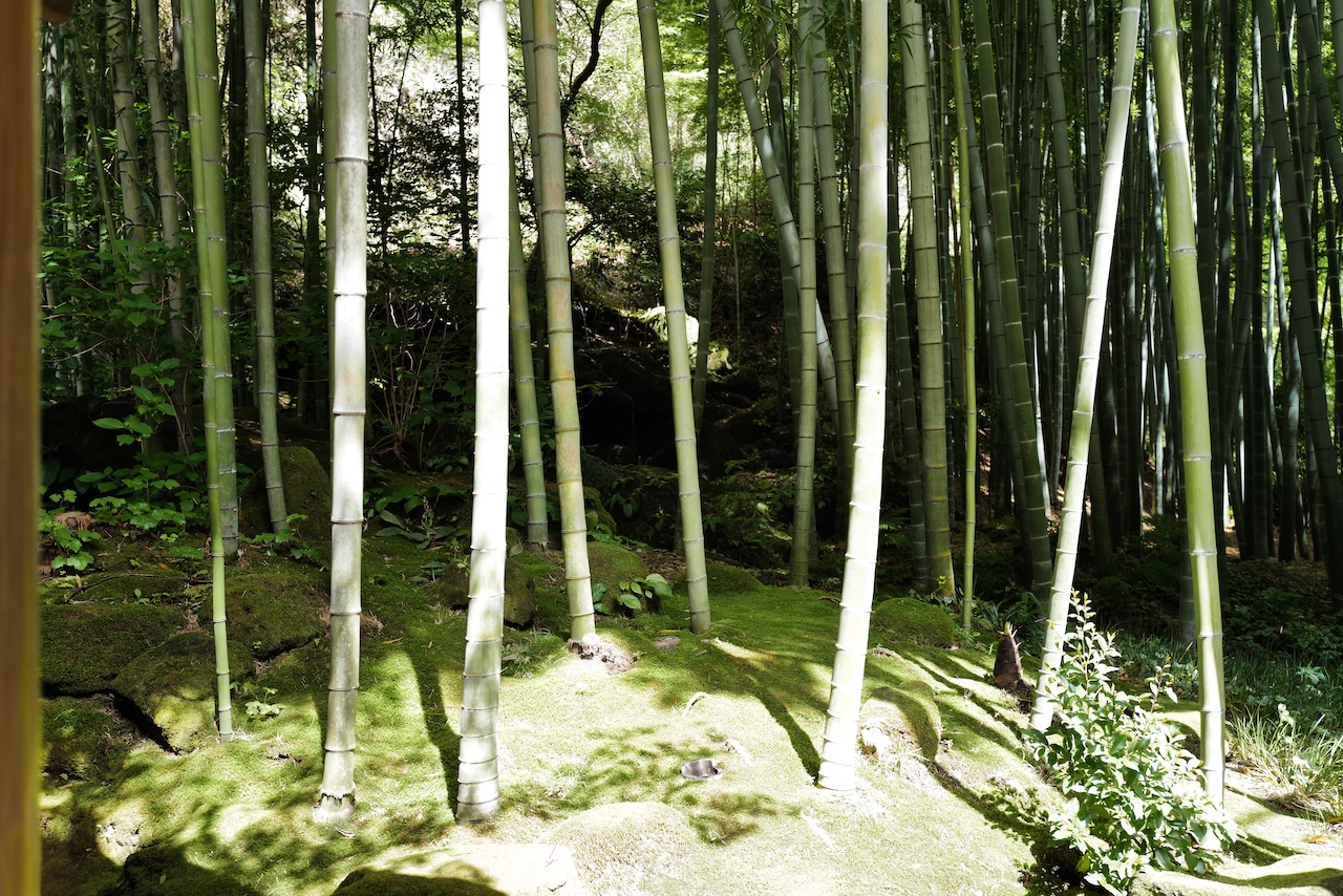 DO01090079.JPG