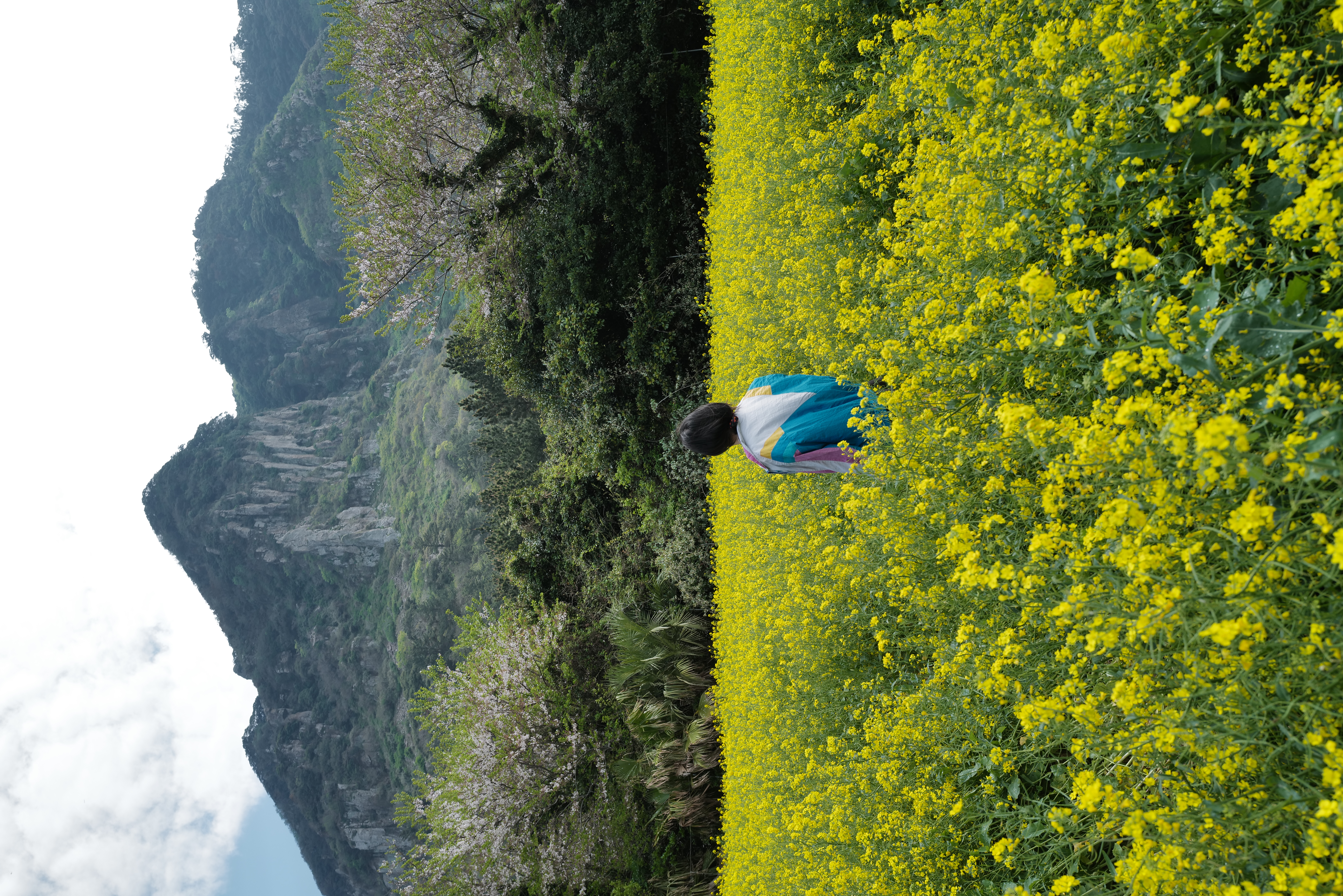 Jeju Travel Guide